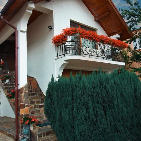 Villa Casa Ade Ocna Şugatag Esterno foto