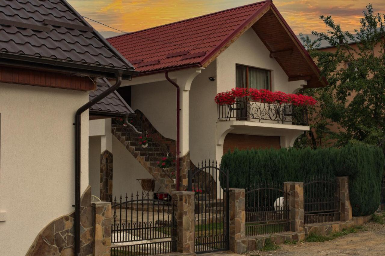 Villa Casa Ade Ocna Şugatag Esterno foto