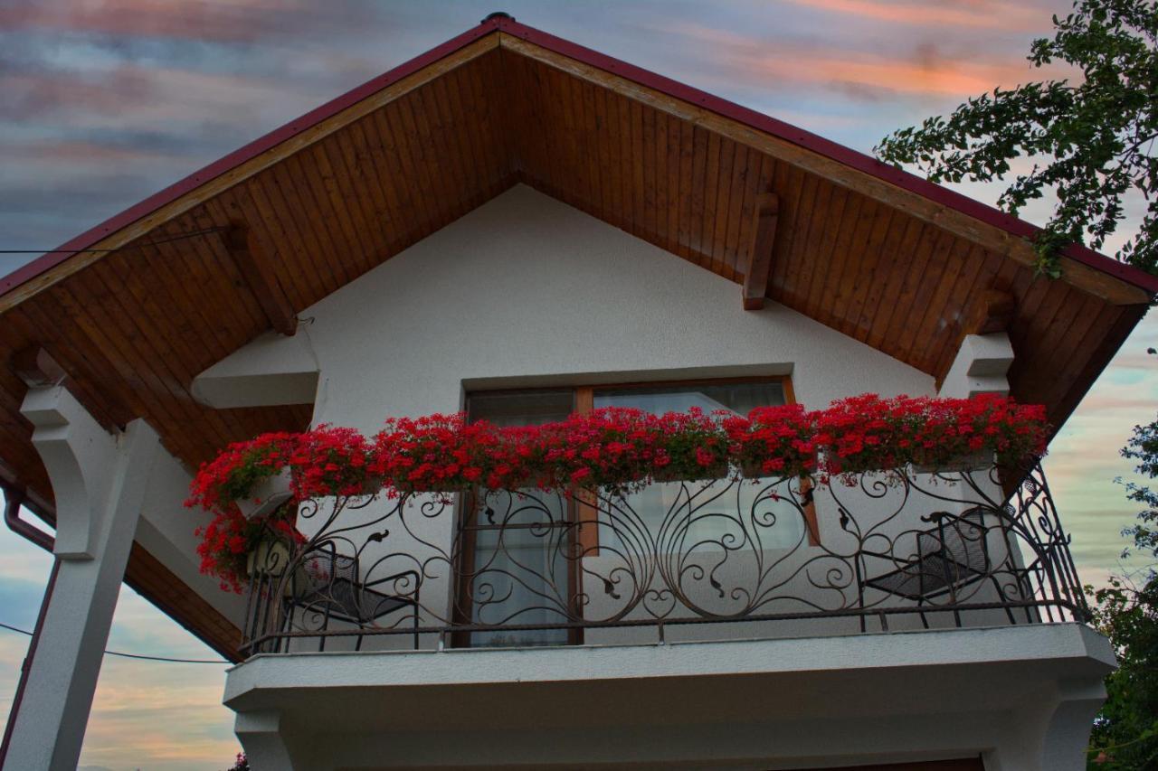 Villa Casa Ade Ocna Şugatag Esterno foto